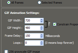 Setup GIF parameters