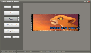 resize images