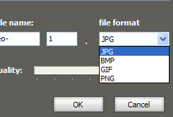 Save As BMP/JPG/PNG/GIF Image