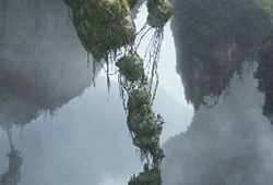 capture images from video