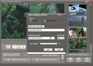 Save Captured Frames
